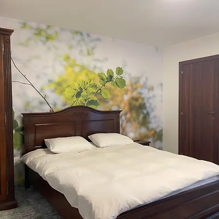 Premier Guest house