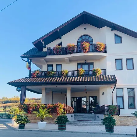 Guest house Premier Doctor Petru Groza